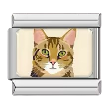 Cat Portrait 3 – Silver