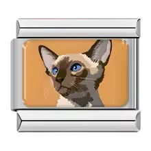 Cat Portrait 6 – Silver