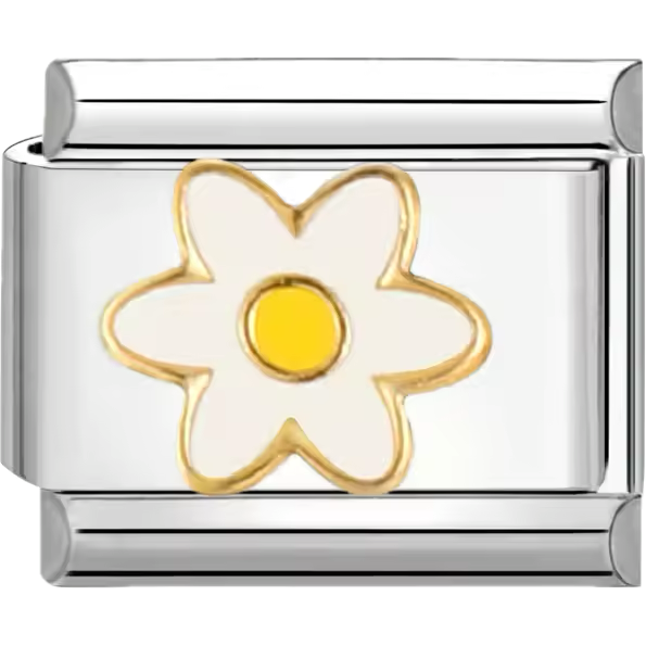 Flower – White Daisy – Yellow Center